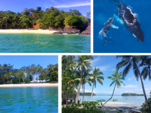 Whale Watching & Two Island Hopping Experience